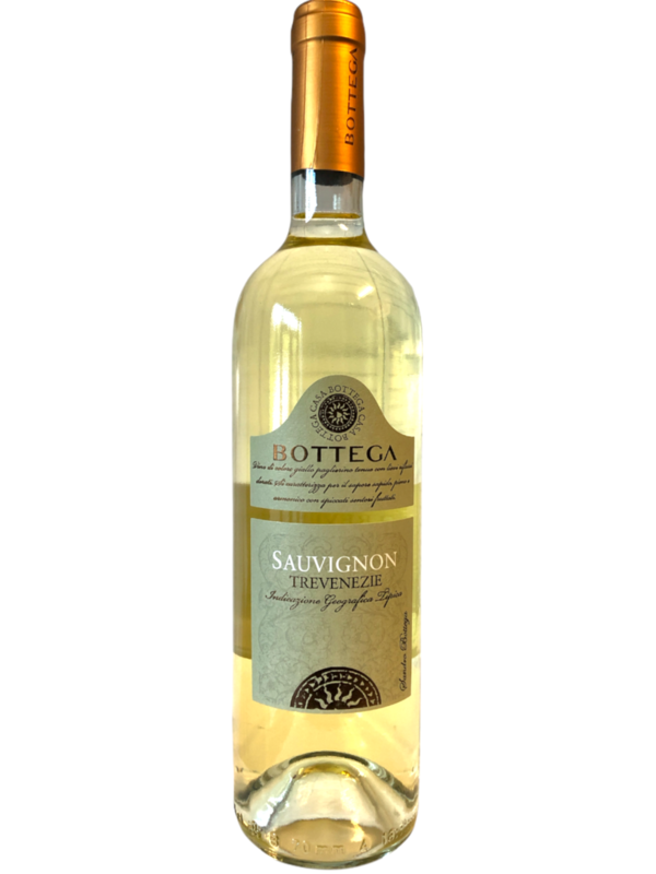 Sauvignon IGT Trevenezie 2019 - Bottega, heldere witte wijn, fris en delicaat, aroma's van jasmijn